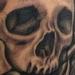 Tattoos - Skull and roses - 70791